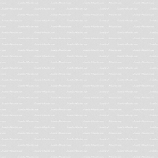 Lorem ipsum dolor